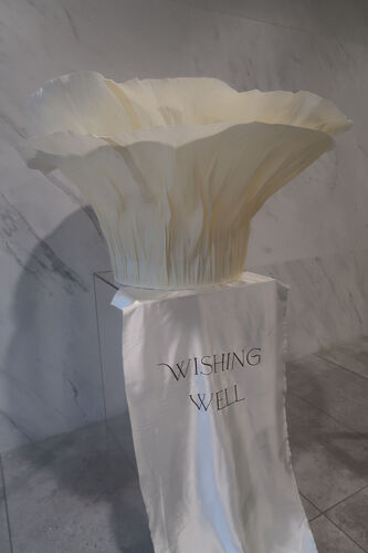 WISHING WELL FOR HIRE