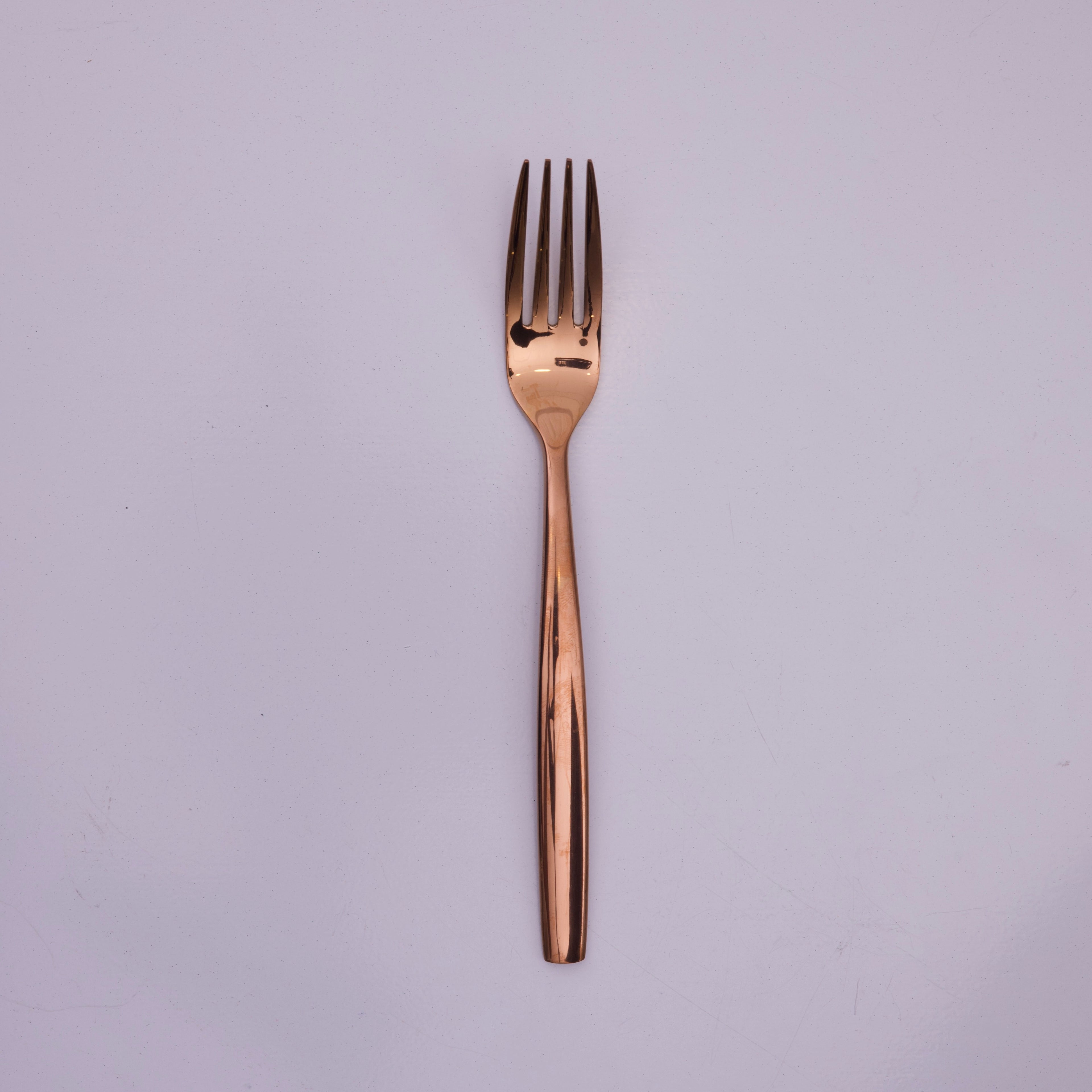 Opal Main Fork